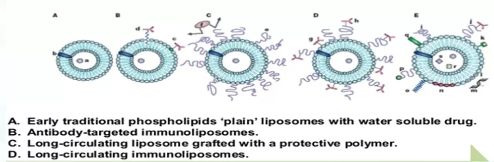 Evolution of Liposomes