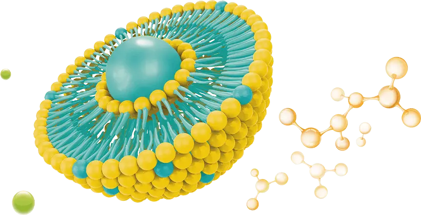 Liposomal I