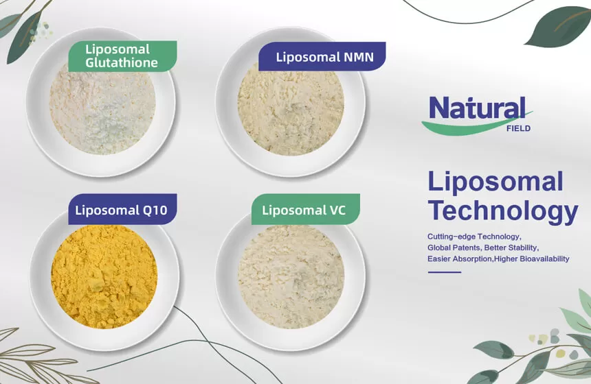 Our Advantages of NMN Liposomes Powder