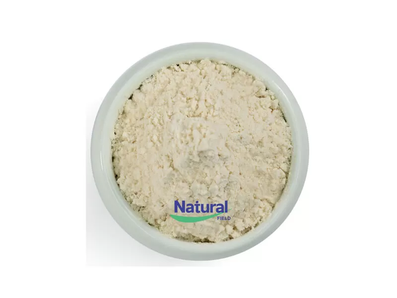 liposomal powder