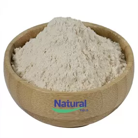 Creatine Liposomes Powder