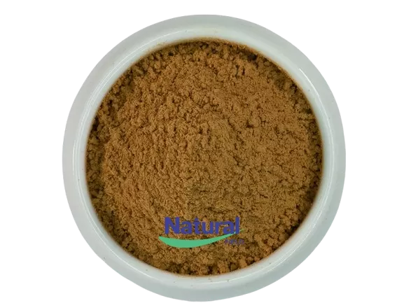 longjack extract powder