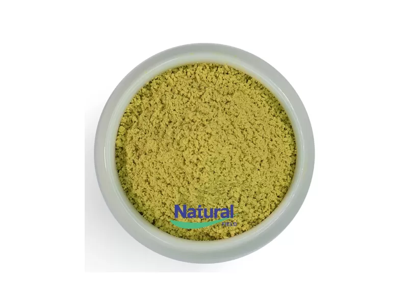 pure quercetin dihydrate powder