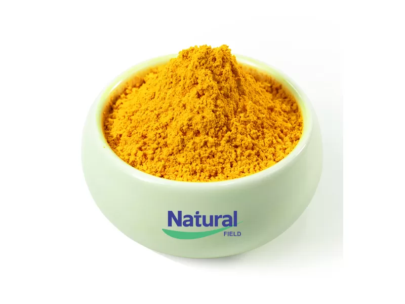 turmeric curcumin powder