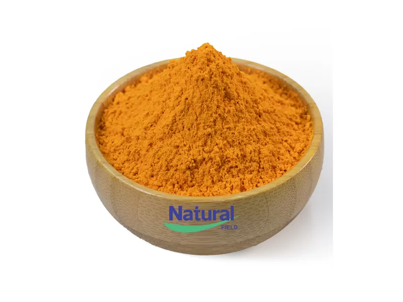 turmeric extract powder