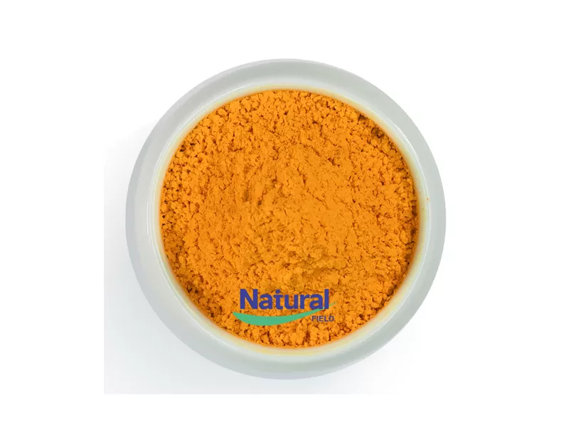 95 curcumin powder