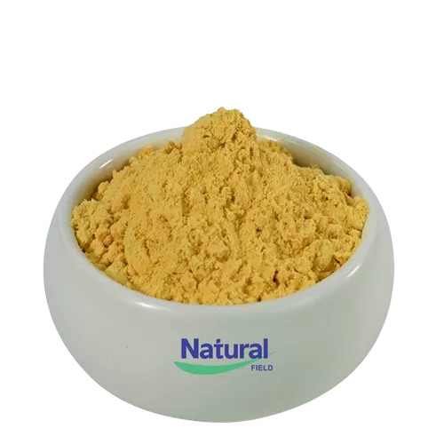 Coenzyme Q10 Liposomes Powder