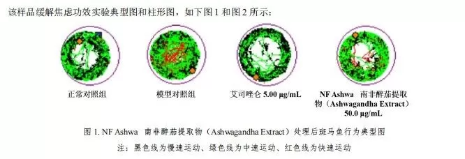 ashwagandha-test-report.jpg