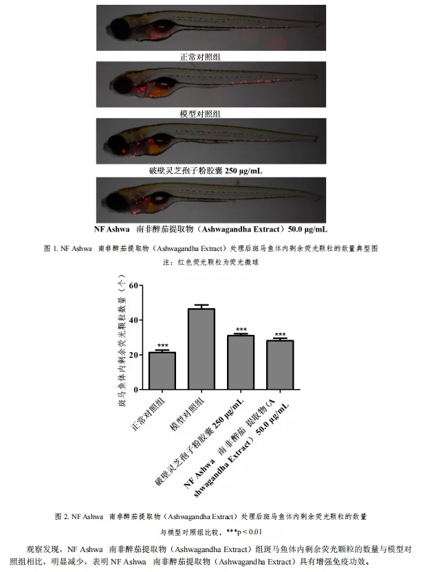 ashwagandha-test-report-3.png