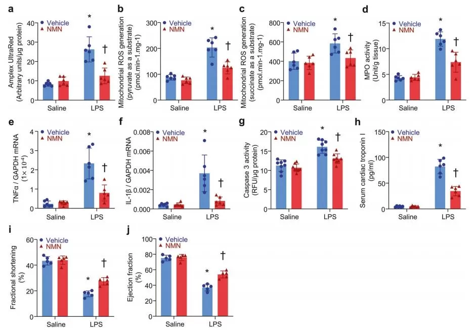 Effects of NMN on Cardiac Injury in Endotoxemia Mice.jpg