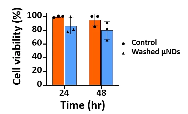 Cellular Viability Study of 3D-Printed Microneedles Using Keratinocytes