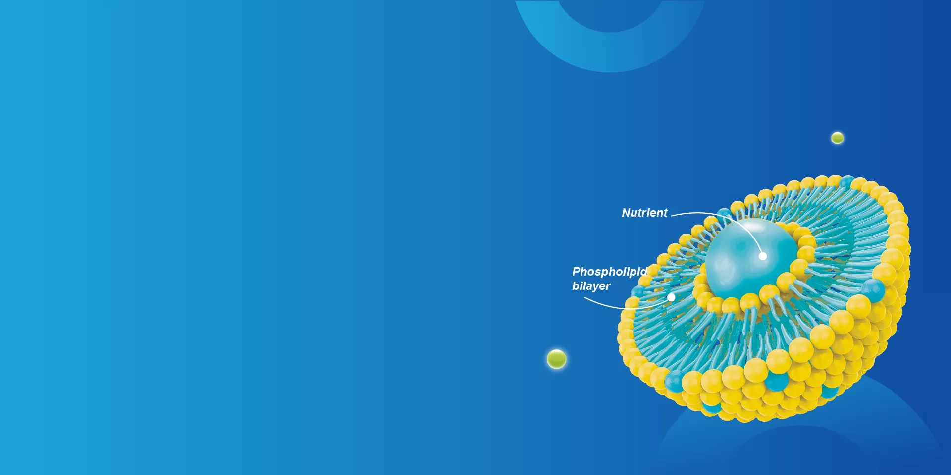 Liposomal I