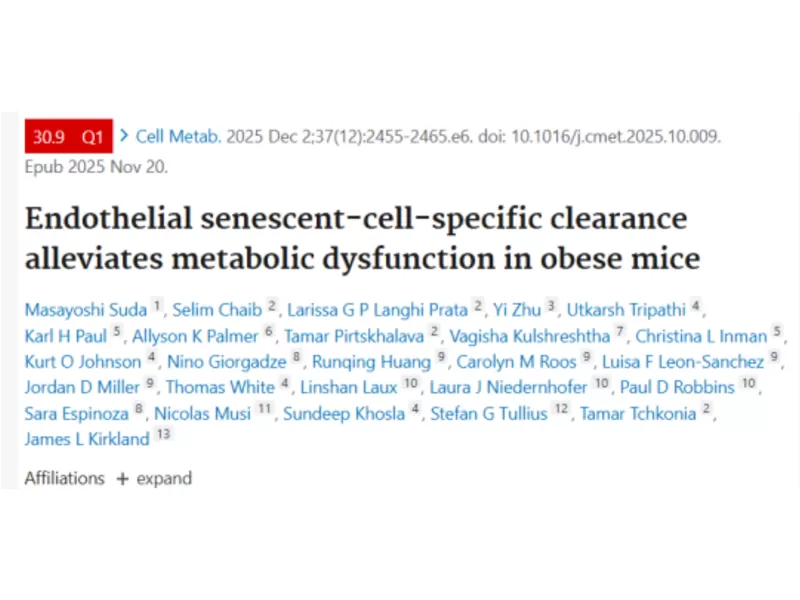Mayo Clinic’s Cell Metabolism Breakthrough: Fisetin – The “Aging Cell Cleaner”in Strawberries, A New Key to Obesity & Metabolic Health! Mayo Clinic’s Cell Metabolism Breakthrough: Fisetin – The “Aging Cell Cleaner”in Strawberries, A New Key to Obesity & Metabolic Health!